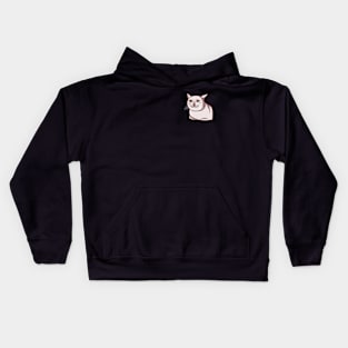 Crying Cat Kids Hoodie